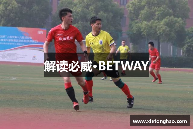 解读必威·BETWAY